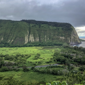 2B226031-B1DF-498F-BB1F-BB7B27C79CBB