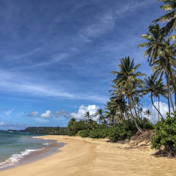 2E0F7720-5DBD-418A-BA8F-80B80762D208