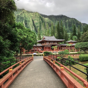 39180B03-FF8E-43F4-B519-4F0AD391D727