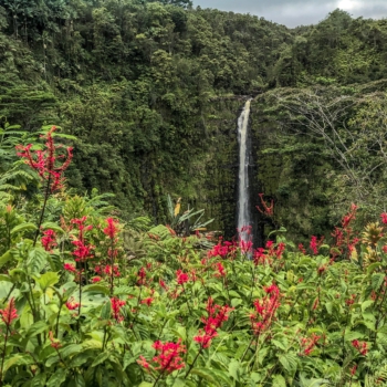 3A4F01CB-0C4D-4C26-8AF1-79409B75E157