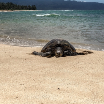 4503FFE4-2612-4789-B512-AE5CFA595E97