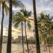 45D854CF-8F4A-44DE-82CF-63EF2ABD6A7C