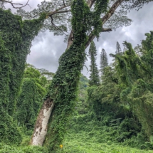 4C55E093-BF30-4812-B370-BC547F04195A