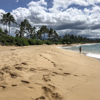 4D399B22-43E5-49E9-9627-A265220D5904