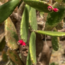 4E6A39FF-6C54-4D03-94CF-069549AAD146