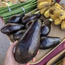 4F575515-8B3F-4693-B7D1-46F75300DD3F