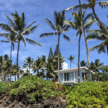 531CD455-B0BA-4596-857C-8400308E0656