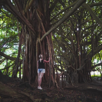 5431DB6C-7423-4594-963E-12B423A25329