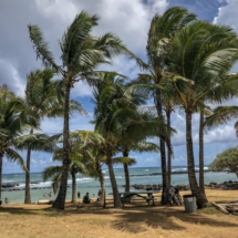 5967DD05-CC34-44E7-8C15-68FB98568B7A