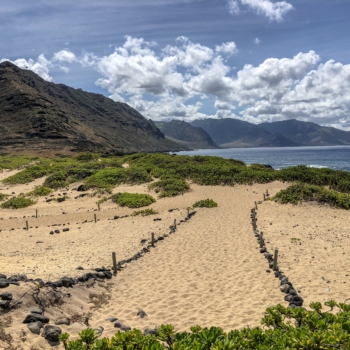 5988E323-4F87-4D35-89BB-A7522D50264C