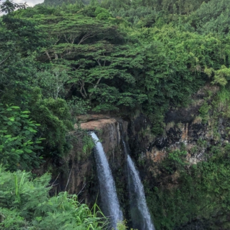 60D06542-DFF1-4989-9A26-0C73FD0B8E8B