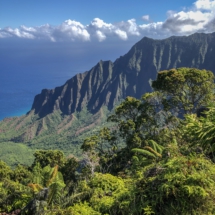 61B37A68-B67F-44E3-9C12-DBA017DC2479