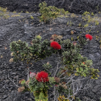 64FBE5FE-65FA-471D-8CB3-70E002FCF06B