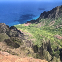 65EC65C0-AAED-4FCA-87AE-01F505C6783E