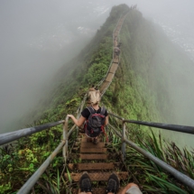 68A1372F-4BF1-4CA6-AA26-68F5F4194E84