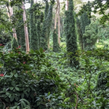 6AE8523E-F435-4A2C-810B-3433906F458A