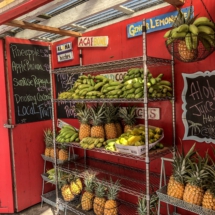 6DDA69CB-A130-4758-A6CC-836A05CBF0E4