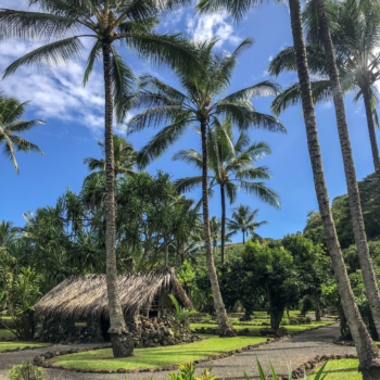 733F1F11-3011-4262-938D-DA2A97E50789