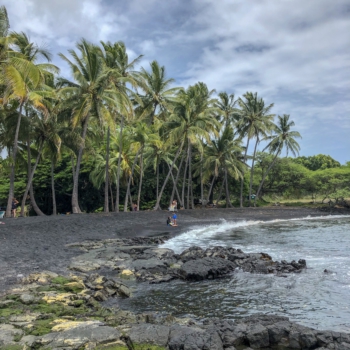 74ADB0E3-EBC7-4669-AACB-0FD2A634C38A