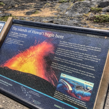 79018E8A-2A15-452B-BCE6-CF479CFCBA72