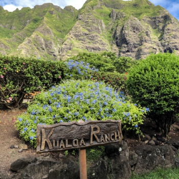 7D6C5E0D-20F3-490F-85A8-B61B5ED159E3