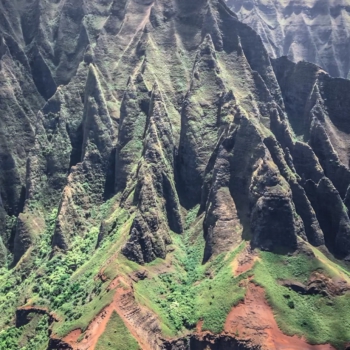 80240788-2A7C-4D76-972F-B03E38EDB019