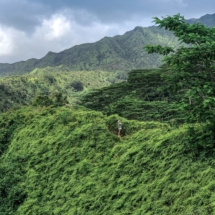 897042EA-9B1F-4CD5-9EFB-A1DBB2116F33