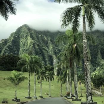 8A03B449-AE6E-446A-9051-53D62DB5A278