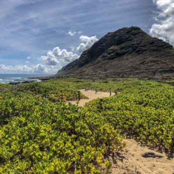 8AD9A26F-3175-4A34-925F-806FBA900CE8