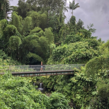 8C4CA568-863D-451E-81D6-BE355617B5C1