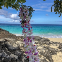 8D42AAEC-BC92-4C42-B1B7-5807D5342D58