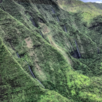 8E606C5C-E4AE-4B72-B279-0FF5E3682BAC