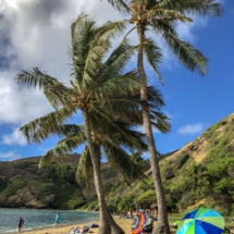 8F29F810-912C-4EA3-97D3-4B8D0F057B81