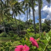 9096354E-6B24-4588-9801-1B94EA20D1C2