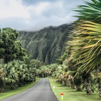 94553E36-018A-4957-A9F6-84B2B313A8A4