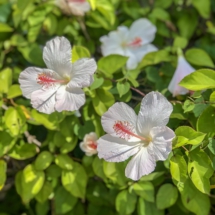 949C0015-C1E2-452D-A71B-8315B6EEEFE3