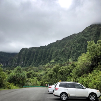 A36A4125-1FE5-43E3-9F24-E29A96F43236