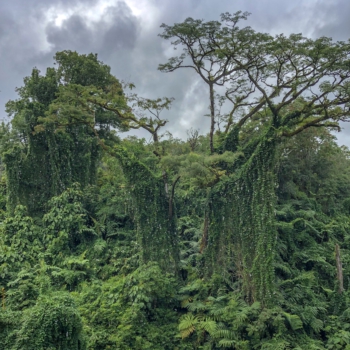 A6731F54-5BE9-47A0-A9ED-21C2AC1AFF75