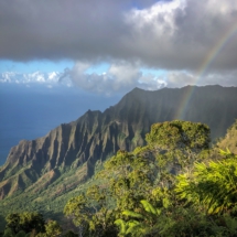 AAC42C8F-1FD9-4AEC-8F92-20AD9ADA2058