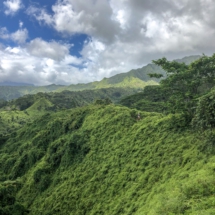 AD1672D8-F121-47FB-A683-6E41BAAA8F0F