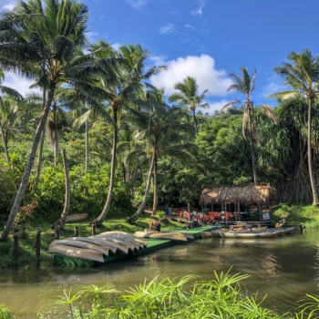 AEEC68F7-F031-405C-99AC-60EFF3883DFE