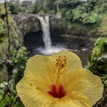 AF4EE208-D85A-4B5C-B7B7-D37769A2985C