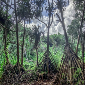 B0B29428-9DF5-405D-9BE4-6BD02C56BE8E