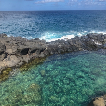 B17319BB-C428-4BA9-B20A-4A1D93E6ECF2