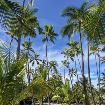 B2BFDDA2-B582-4DA0-BC6C-18C2BCFC5D23