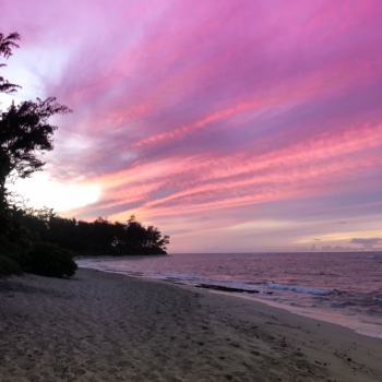 B388D46A-00B9-4F0A-9D34-0989A6F60BA7