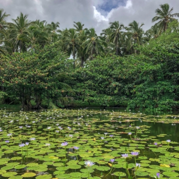 B817275A-9E57-47D0-8E3A-13812118ECCD