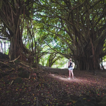 BC6A387F-F84C-4DD0-9A28-E1A17EDA2A82