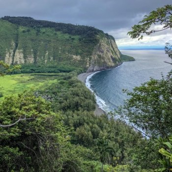 C6009A91-8B00-46C2-A9C6-3F4C97D42535