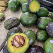 C9561C51-6AC8-4959-B81C-8E7F16EF2C52